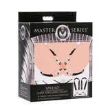 Master Series Spread Labia Spreader Straps With Clamps Black Silver