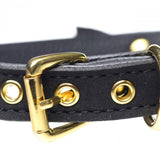 Master Series Golden Kitty Cat Bell Collar Black Gold