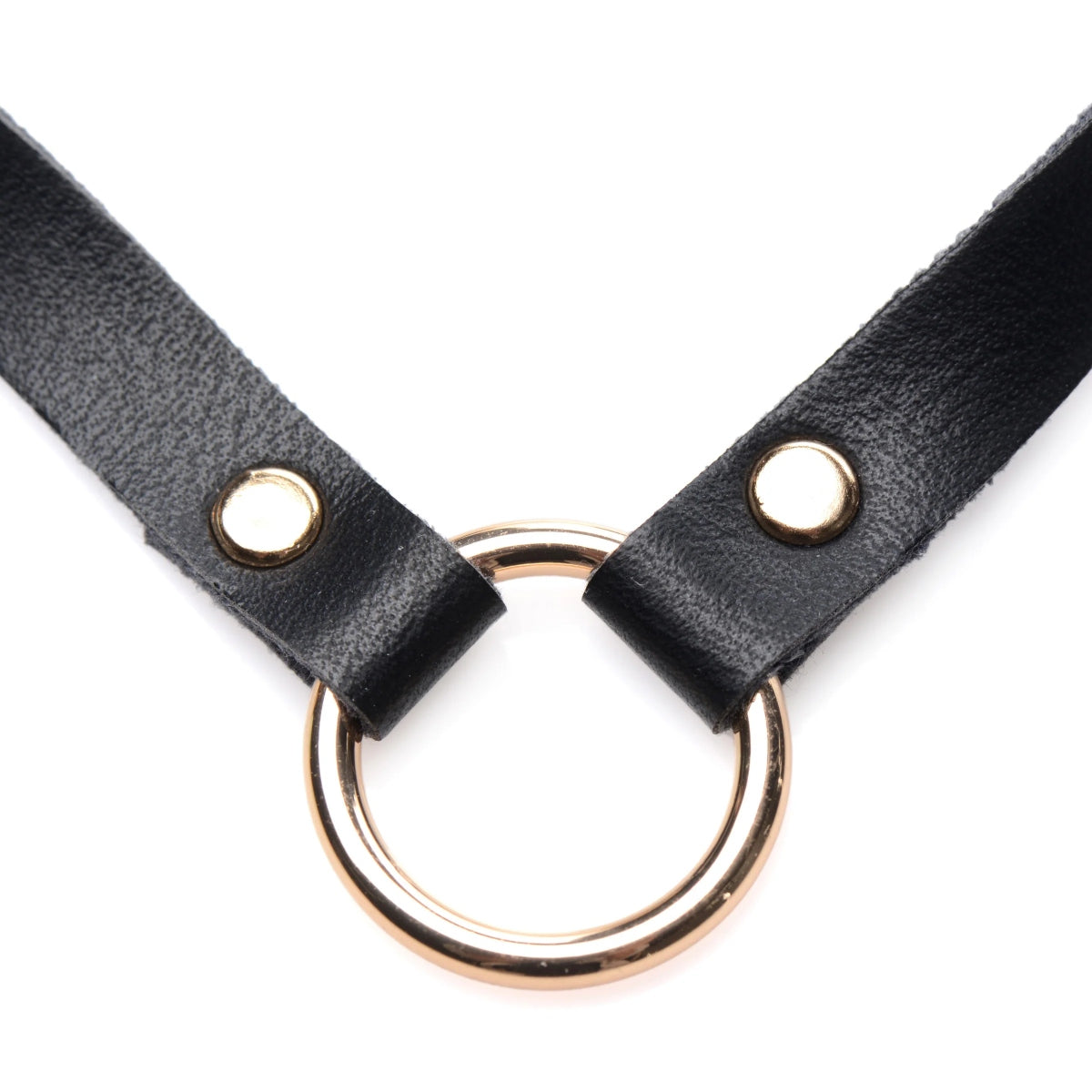 Master Series Posh Pet Gold Ring Slim Choker Black Gold