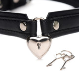 Strict Locking Heart Collar Black Silver