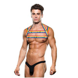 Envy Rainbow Chest Harness