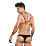 Envy Rainbow Chest Harness