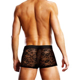 Prowler Lace Trunk Black