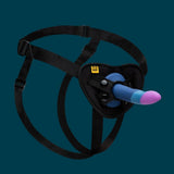ROMP Piccolo Pegging Kit Blue Purple